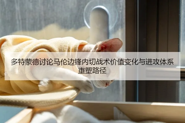 多特蒙德讨论马伦边锋内切战术价值变化与进攻体系重塑路径